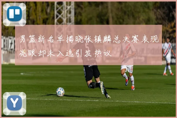 男篮新名单揭晓张镇麟总决赛表现亮眼却未入选引发热议