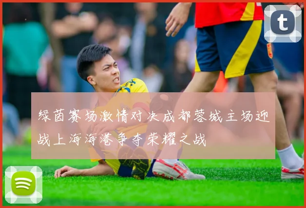 绿茵赛场激情对决成都蓉城主场迎战上海海港争夺荣耀之战
