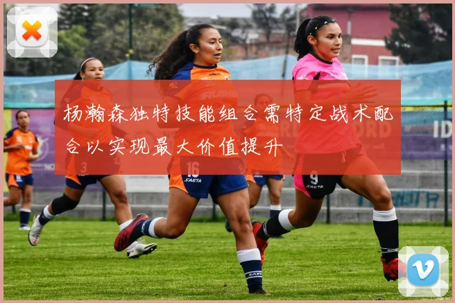 杨瀚森独特技能组合需特定战术配合以实现最大价值提升